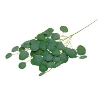 FOLHAGEM EUCALIPTO VRD 75cm 04 0013867