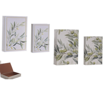 CJ 2 CXS LIVROS OLIVEIRA 21x7x30 CG-232993