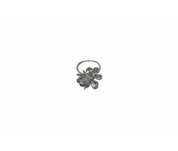ARGOLA PRATA DMY13B559SILVER