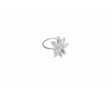 ARGOLA TRANS DMY13B566CLEAR