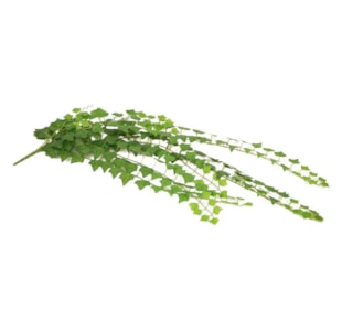TREPADEIRA 90cm 301 FLS 30058