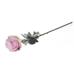 HASTE ROSA ROSA 76cm  BY19212#2