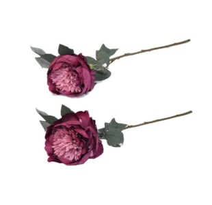 HASTE PEONIA BORDO 67cm BY199065#6