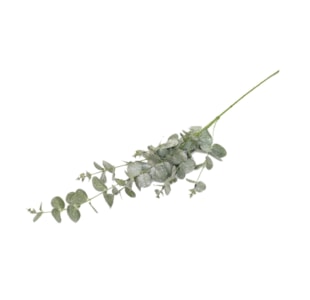 HASTE EUCALIPTO 62cm HZY00920S1