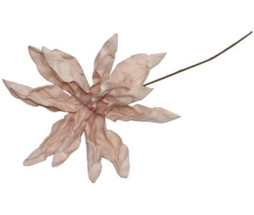 HASTE MAGNOLIA 75cm ROSA TL00657B-AG