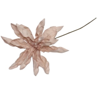 HASTE MAGNOLIA 75cm ROSA TL00657B-AG
