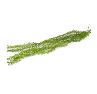 TREPADEIRA PLASTICA 80cm 52931