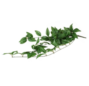 TREPADEIRA PLASTICA 75cm 52773