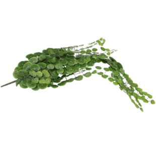 TREPADEIRA 301FLS 65cm 30055