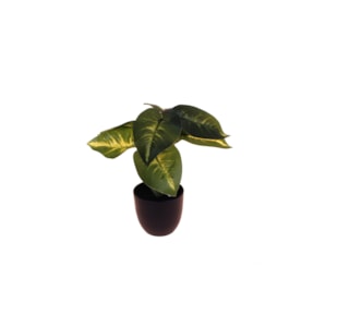 VASO CALADIUM 25cm 25059